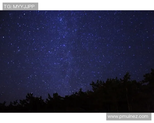 阿根廷足球明星璀璨星空展现激情与荣耀的传奇之路